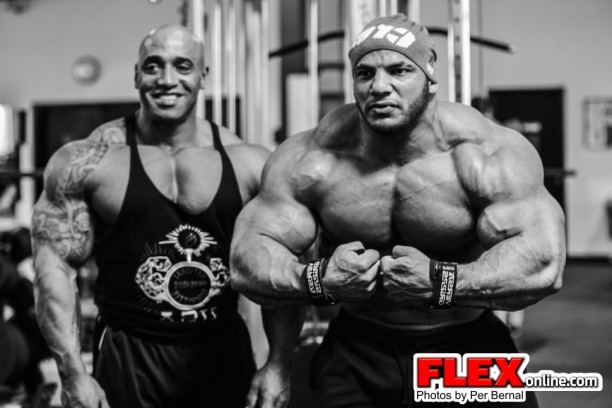 Dennis James a Mamdouh Elssbiay