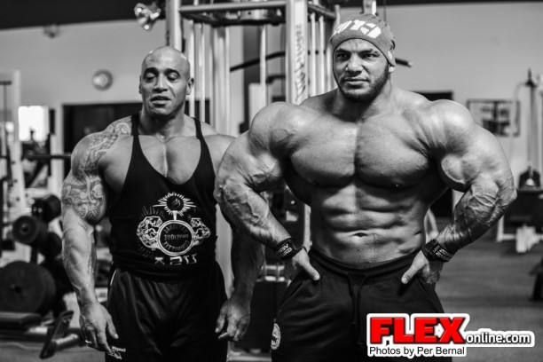Dennis James a Mamdouh Elssbiay