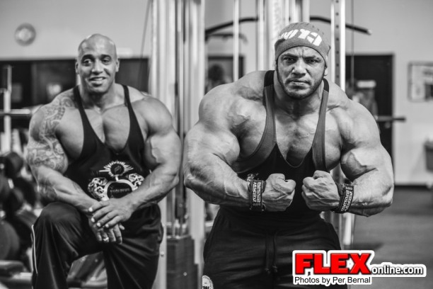 Dennis James a Mamdouh Elssbiay