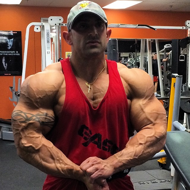 Guy Cisternino