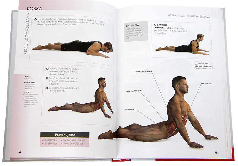 Stre�ink - anatomie (Craig Ramsay)