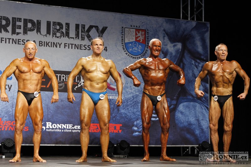 Vladim�r �t�p�nek, Ji�� Fafl�k, Vladim�r Dost�l, Jaroslav Koke�