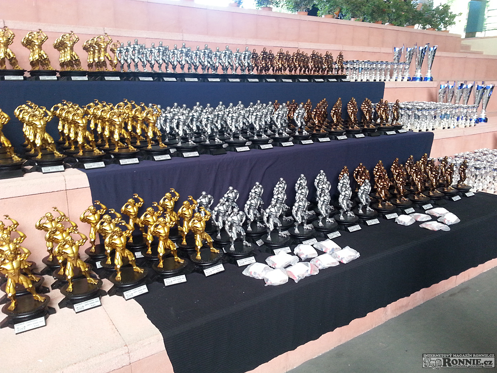 Trofeje na mistrovstv� Evropy 2014