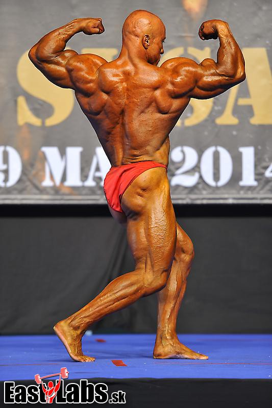 Leif Hestad