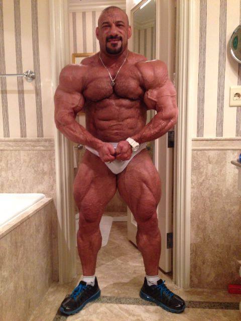Anwar Seif