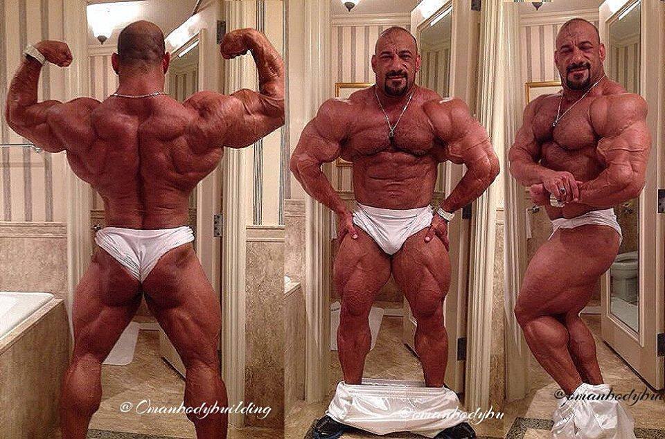 Anwar Seif