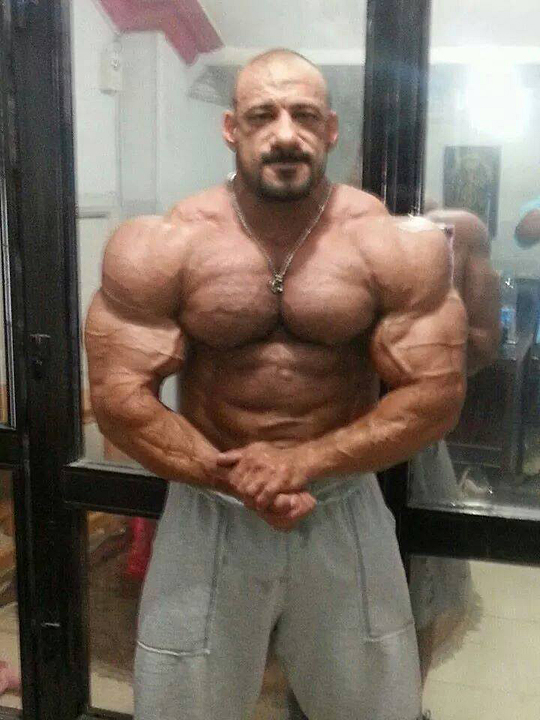 Anwar Seif