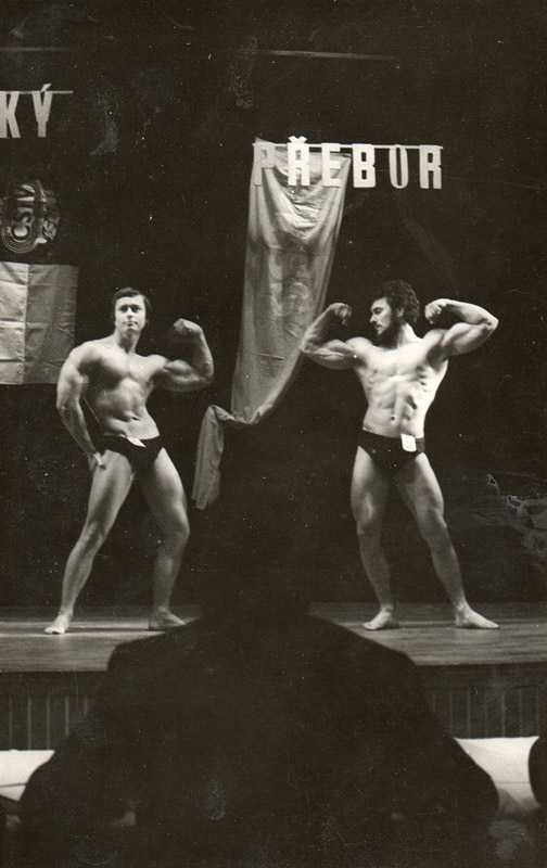 Josef �tajner, Anton�n Pluha�