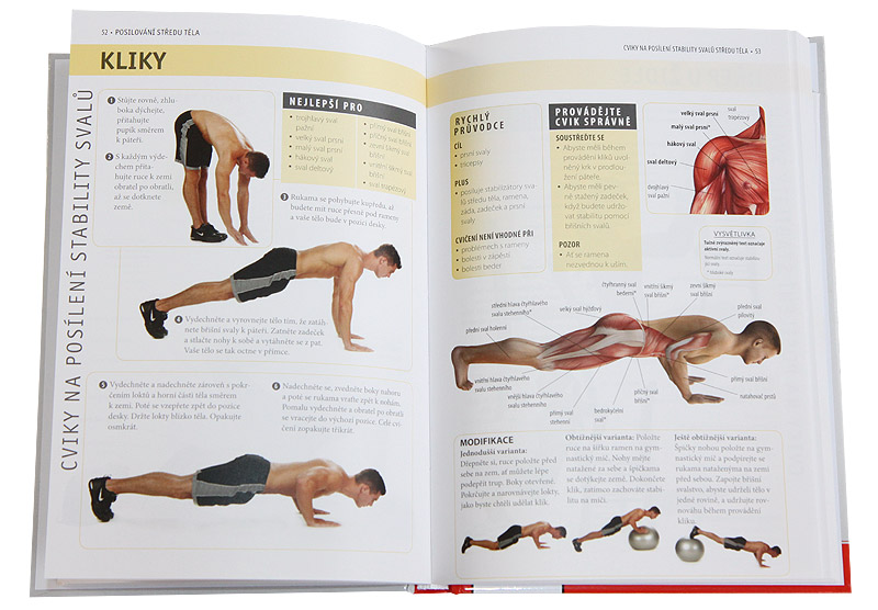 Posilov�n� st�edu t�la - anatomie (Abigail Ellswortov�)