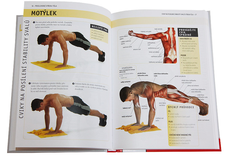Posilov�n� st�edu t�la - anatomie (Abigail Ellswortov�)