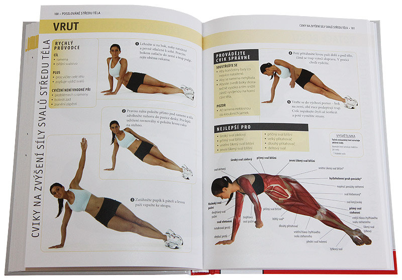 Posilov�n� st�edu t�la - anatomie (Abigail Ellswortov�)