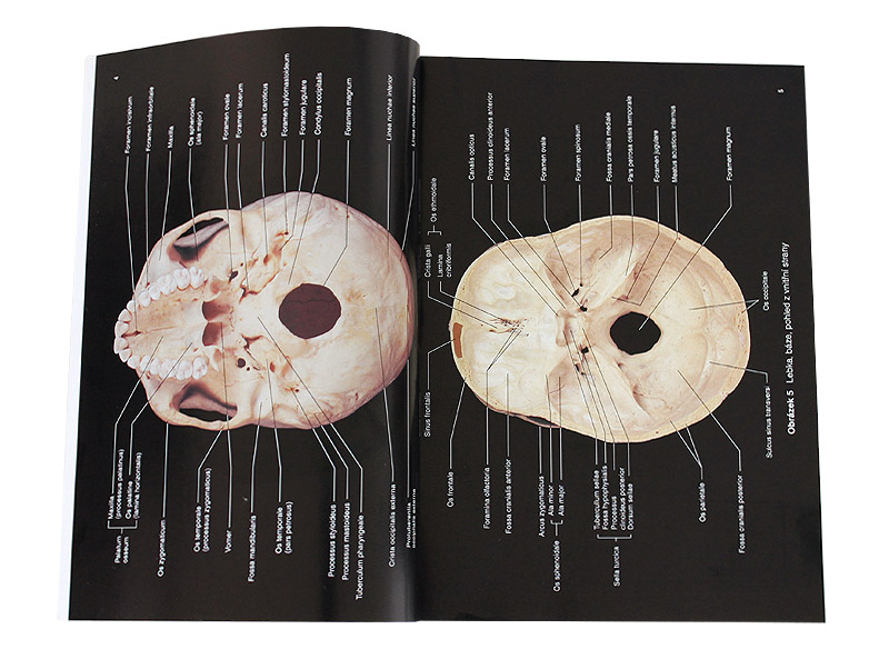 Lidsk� t�lo - obrazov� atlas (Hutchinson, Mallatt, Marieb)