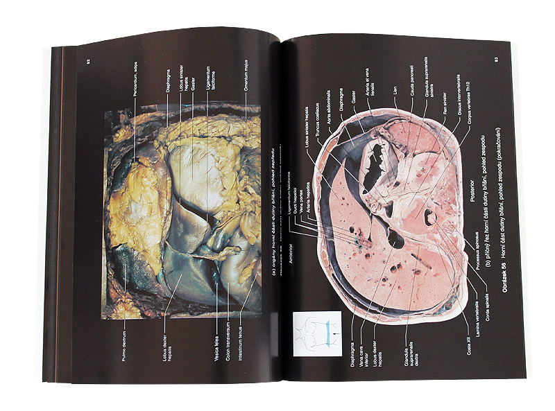 Lidsk� t�lo - obrazov� atlas (Hutchinson, Mallatt, Marieb)