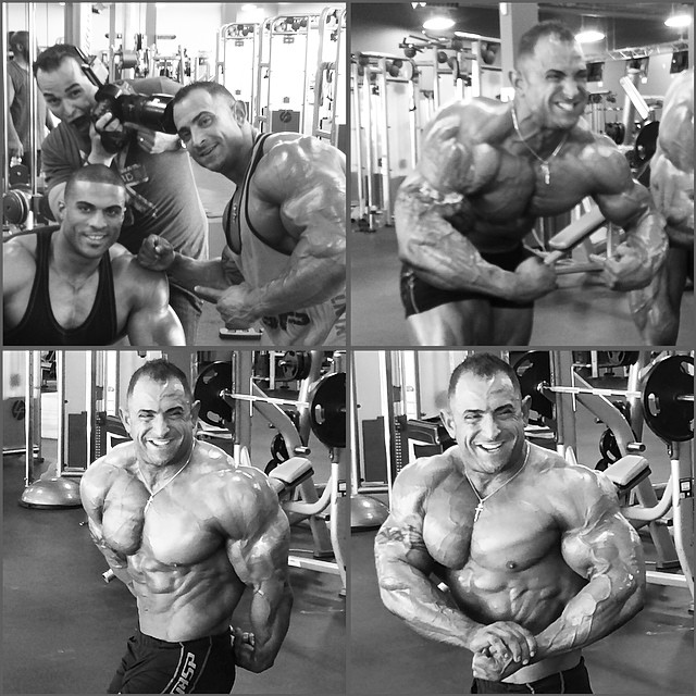 Guy Cisternino