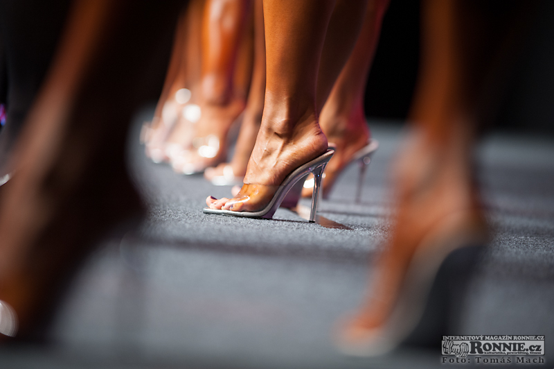 Olympia Amateur Europe 2014 (semifin�le) - fotografie ze z�kulis�