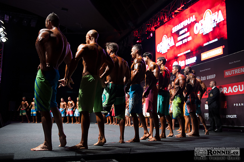 Olympia Amateur Europe 2014 (semifin�le) - fotografie ze z�kulis�