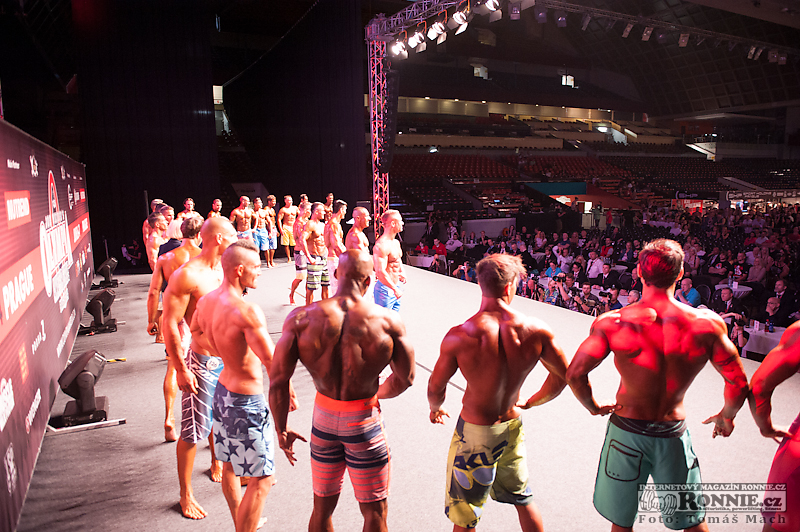 Olympia Amateur Europe 2014 (semifin�le) - fotografie ze z�kulis�