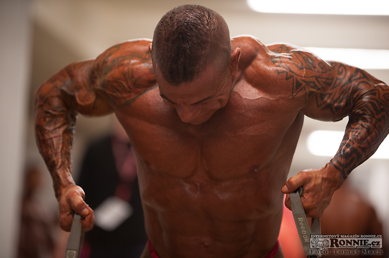 Olympia Amateur Europe 2014 (semifin�le) - fotografie ze z�kulis�