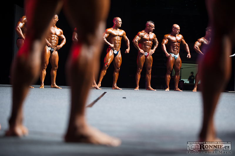Olympia Amateur Europe 2014 (semifin�le) - fotografie ze z�kulis�