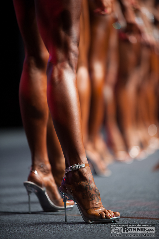 Olympia Amateur Europe 2014 (semifin�le) - fotografie ze z�kulis�