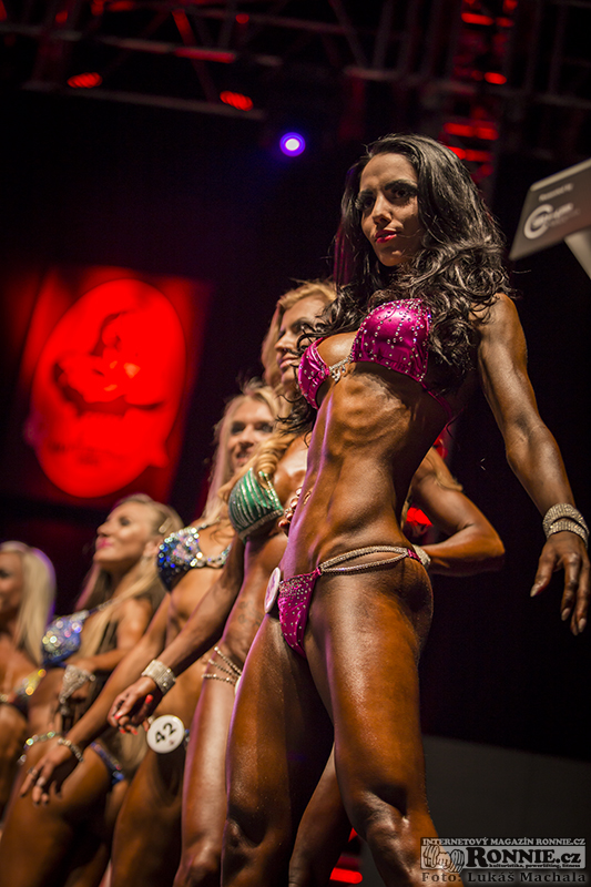 Olympia Amateur Europe 2014 - fotografie ze z�kulis� 
