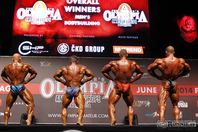 Vojt�ch Koritensk�, Igor Ozernoy, Milan ��dek, Roman Fritz�