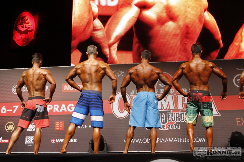 Juan Jose Perez, Martin Mester, �Nikola Cigolinov, Tomas Uro�ka