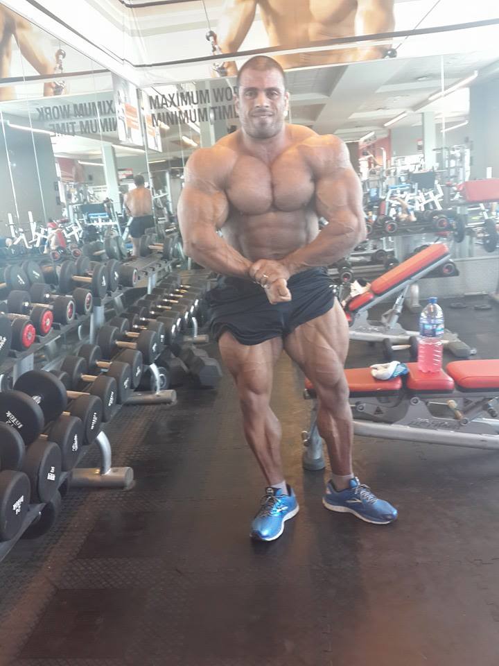 Maor Zaradez