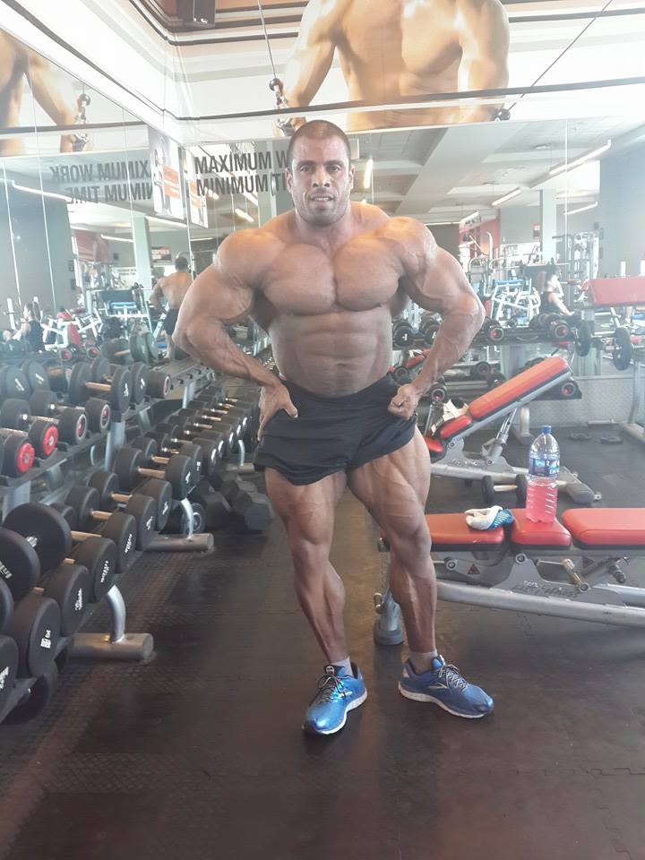 Maor Zaradez