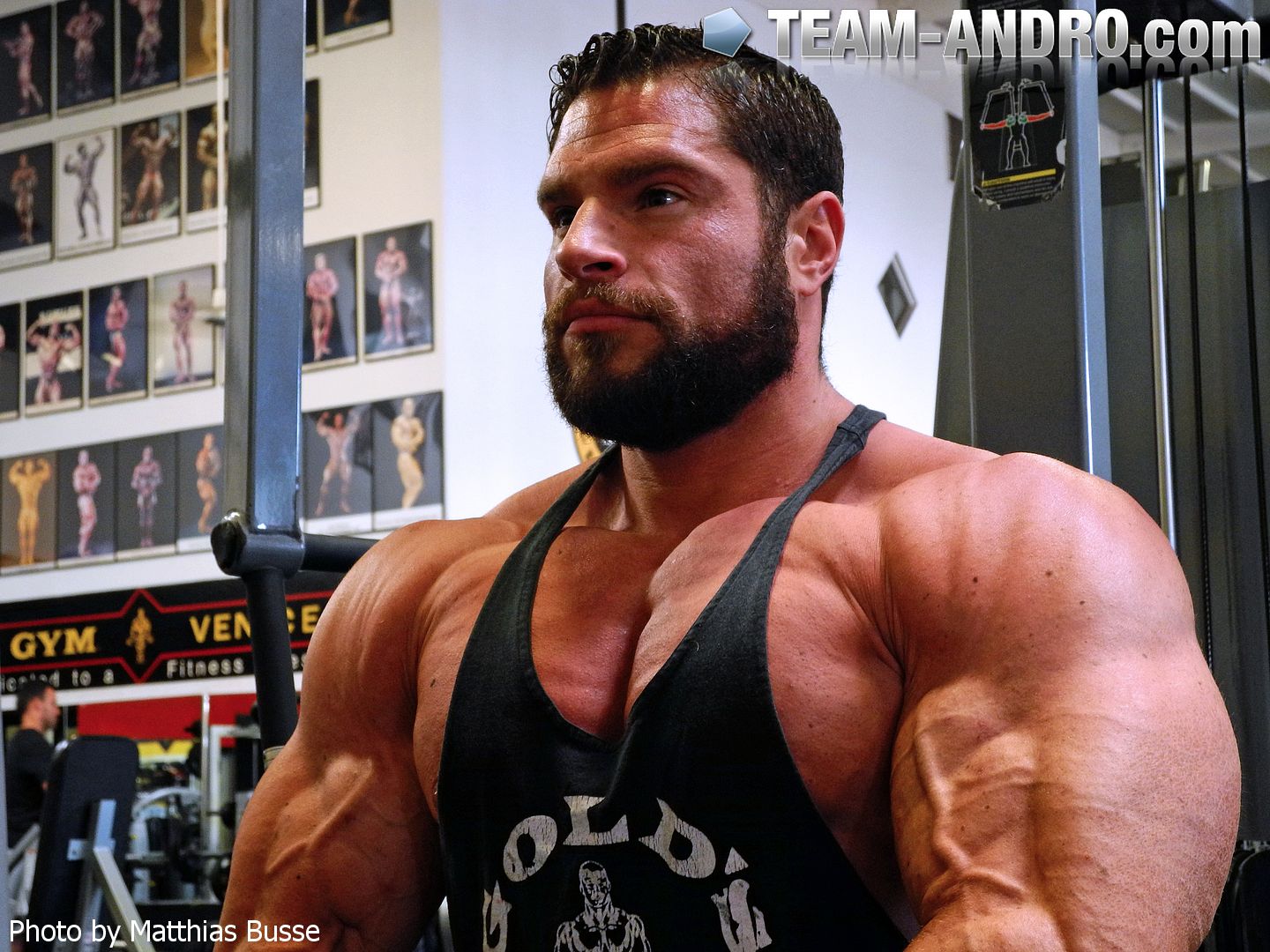 David Hoffmann