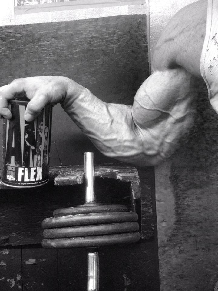 Roman Fritz