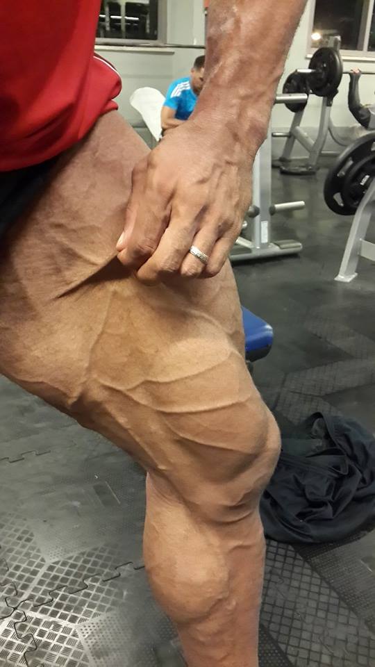 Maor Zaradez