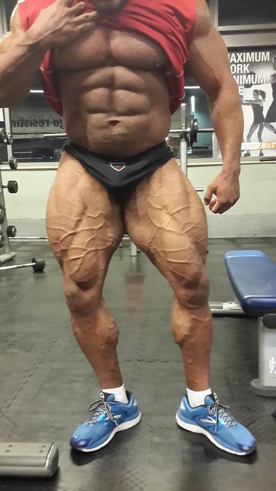 Maor Zaradez