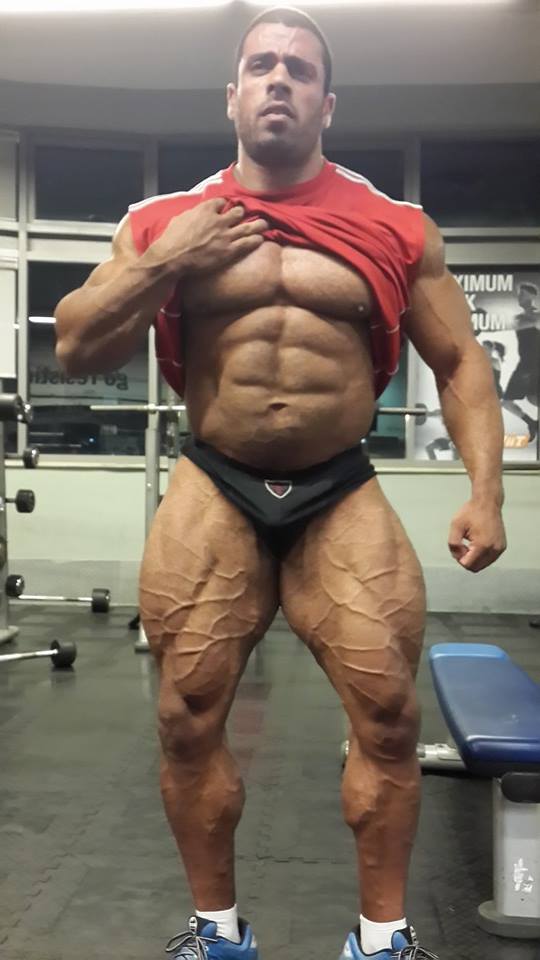 Maor Zaradez