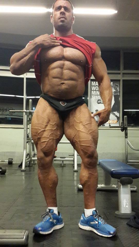Maor Zaradez