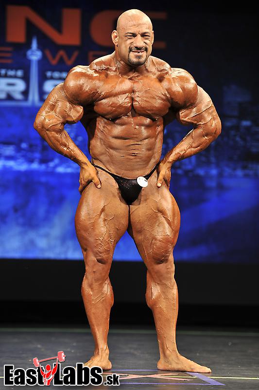 Anwar Seif