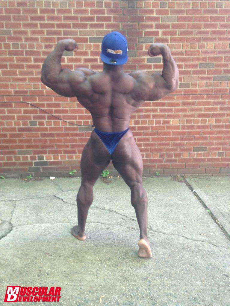 Akim Williams