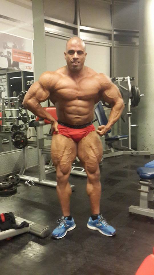Maor Zaradez
