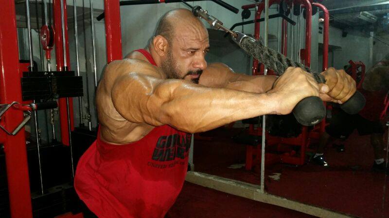 Anwar Seif