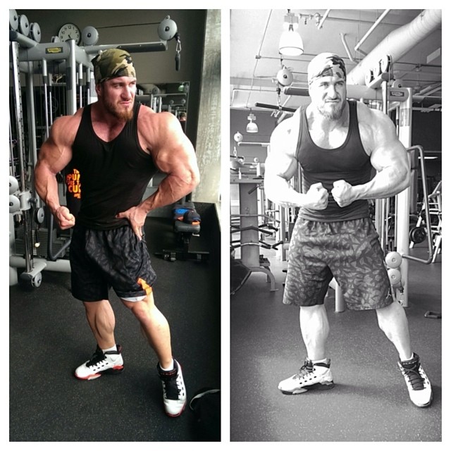 Antoine Vaillant