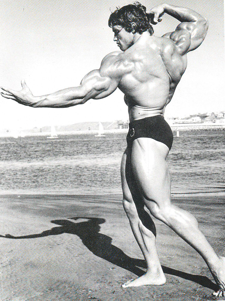 Arnold Schwarzenegger