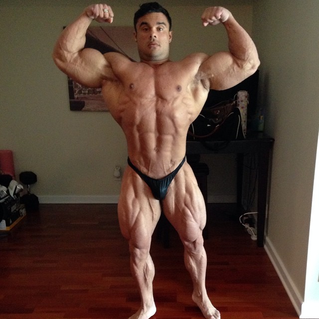 Tony Searle