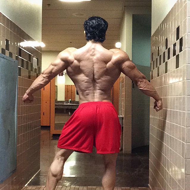 Sadik Hadzovic