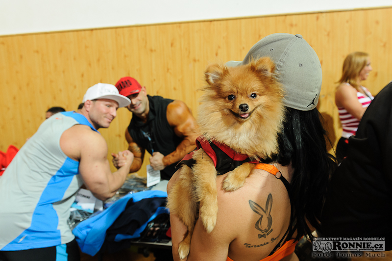 EVL�s Prague Pro 2014 - akce Meet & Greet��