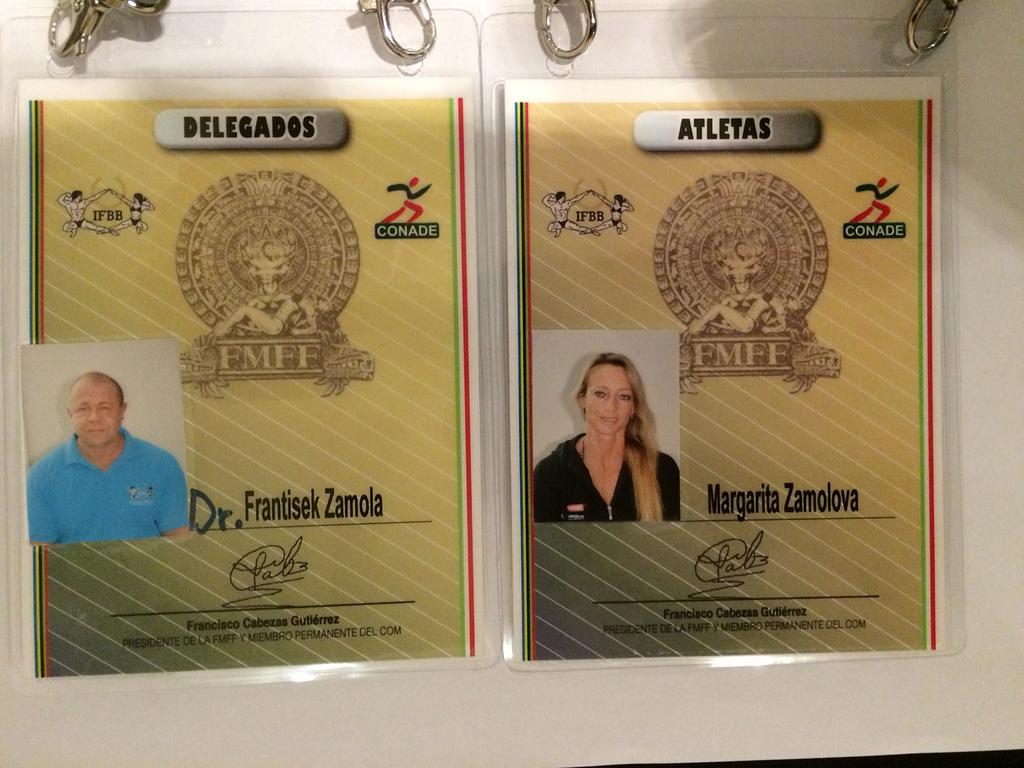 Pr�kaz deleg�ta a z�vodn�ka