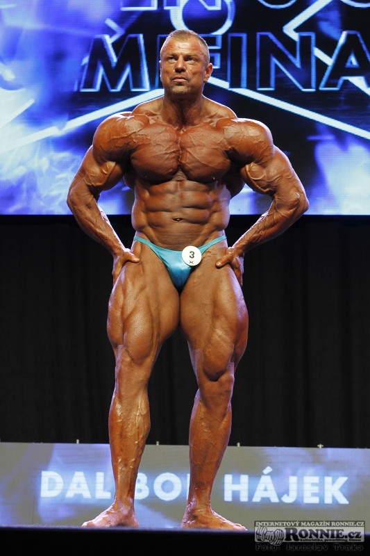 Dalibor H�jek