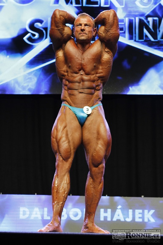 Dalibor H�jek