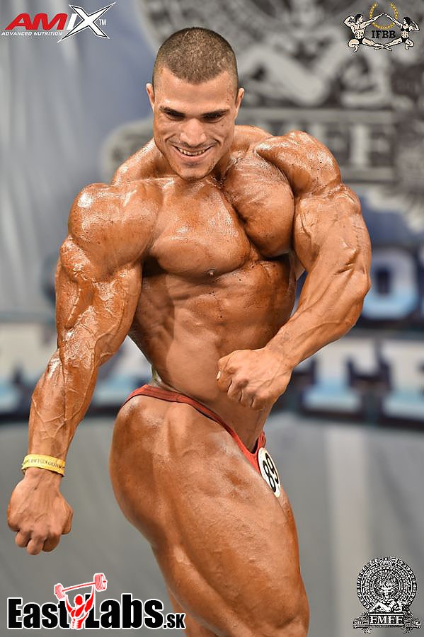 Hassan Mostafa Abdalla Mahmoud