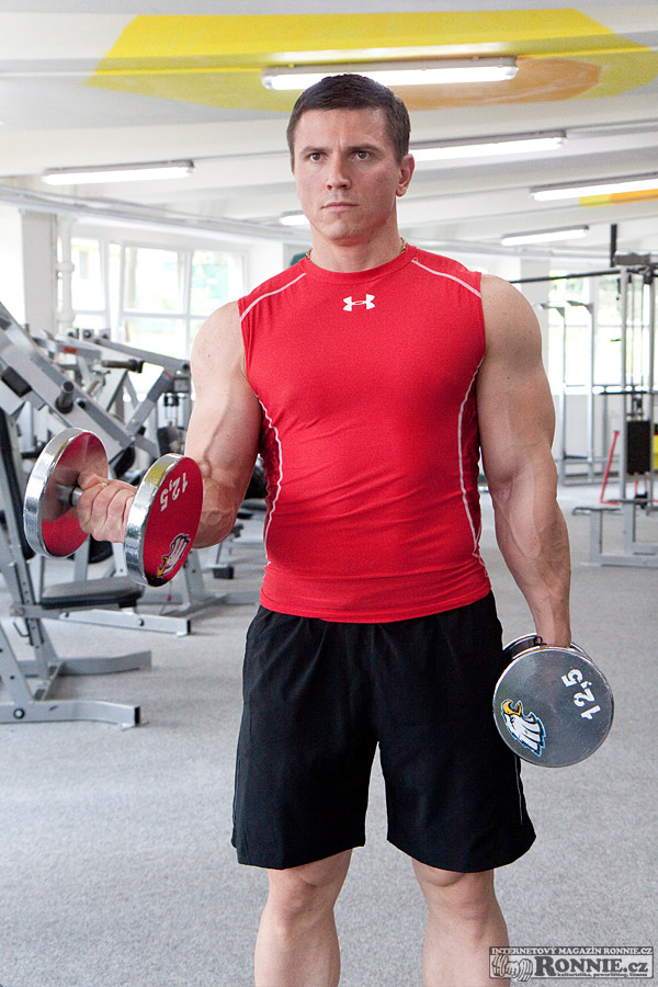 �Bicepsov� zdvih s jednoru�kami