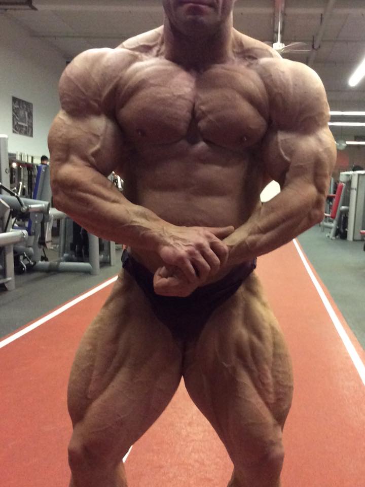 Ronny Rockel